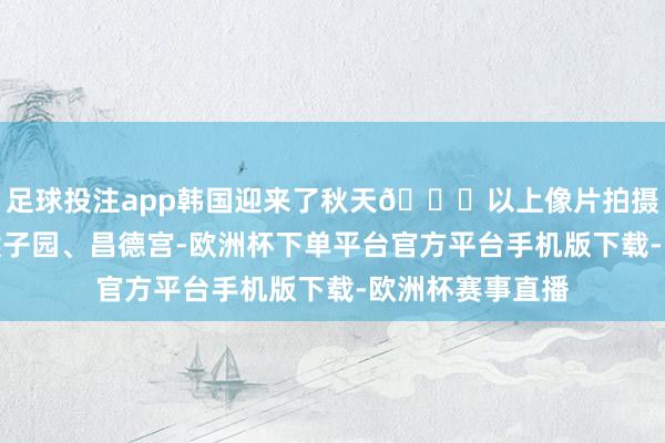 足球投注app韩国迎来了秋天🍂以上像片拍摄于景福宫、南猴子园、昌德宫-欧洲杯下单平台官方平台手机版下载-欧洲杯赛事直播