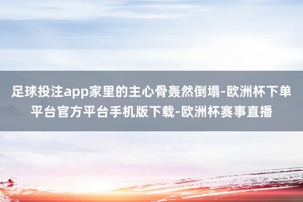 足球投注app家里的主心骨轰然倒塌-欧洲杯下单平台官方平台手