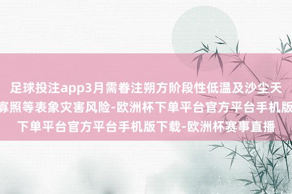 足球投注app3月需眷注朔方阶段性低温及沙尘天气影响 退缩南边灰暗寡照等表象灾害风险-欧洲杯下单平台官方平台手机版下载-欧洲杯赛事直播