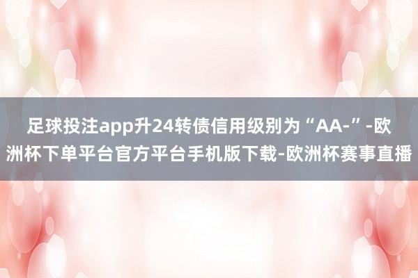 足球投注app升24转债信用级别为“AA-”-欧洲杯下单平台