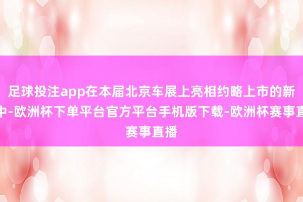 足球投注app在本届北京车展上亮相约略上市的新车中-欧洲杯下单平台官方平台手机版下载-欧洲杯赛事直播