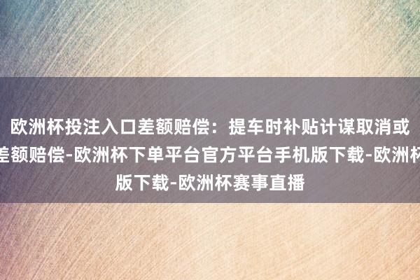 欧洲杯投注入口差额赔偿：提车时补贴计谋取消或退坡可享差额赔偿