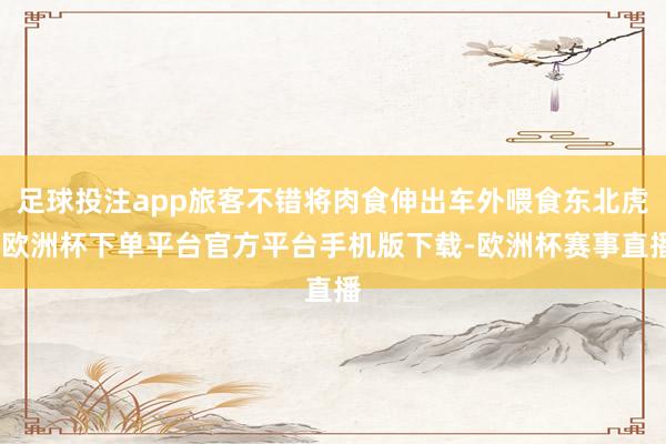 足球投注app旅客不错将肉食伸出车外喂食东北虎-欧洲杯下单平台官方平台手机版下载-欧洲杯赛事直播