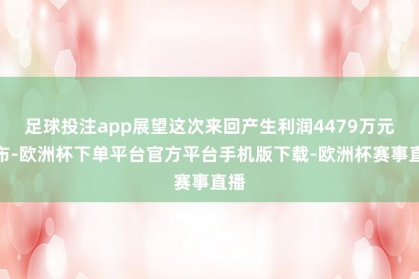 足球投注app展望这次来回产生利润4479万元摆布-欧洲杯下单平台官方平台手机版下载-欧洲杯赛事直播