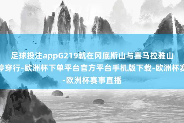 足球投注appG219就在冈底斯山与喜马拉雅山之间不停穿行-