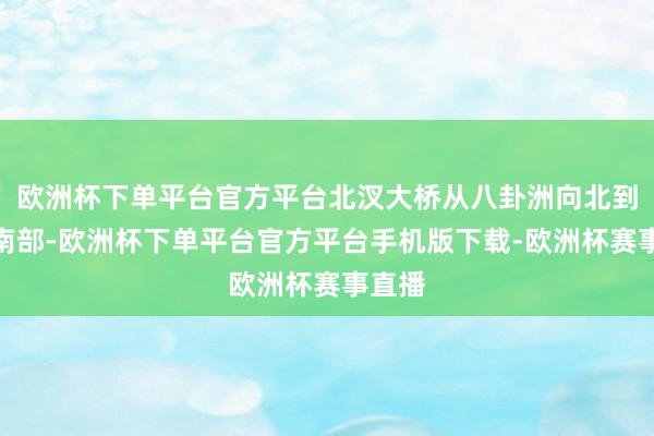 欧洲杯下单平台官方平台北汊大桥从八卦洲向北到天下南部-欧洲杯