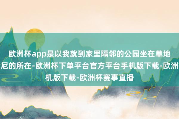 欧洲杯app是以我就到家里隔邻的公园坐在草地上抚玩着悉尼的所
