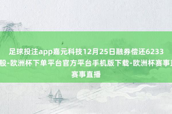 足球投注app嘉元科技12月25日融券偿还6233.00股-