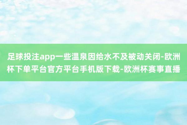 足球投注app一些温泉因给水不及被动关闭-欧洲杯下单平台官方