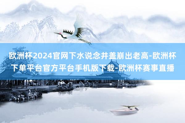 欧洲杯2024官网下水说念井盖崩出老高-欧洲杯下单平台官方平