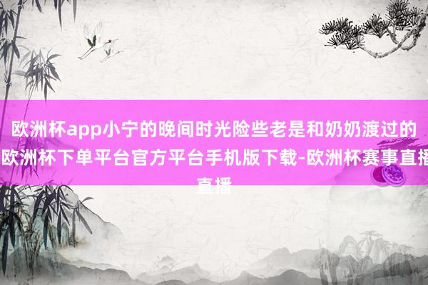 欧洲杯app小宁的晚间时光险些老是和奶奶渡过的-欧洲杯下单平