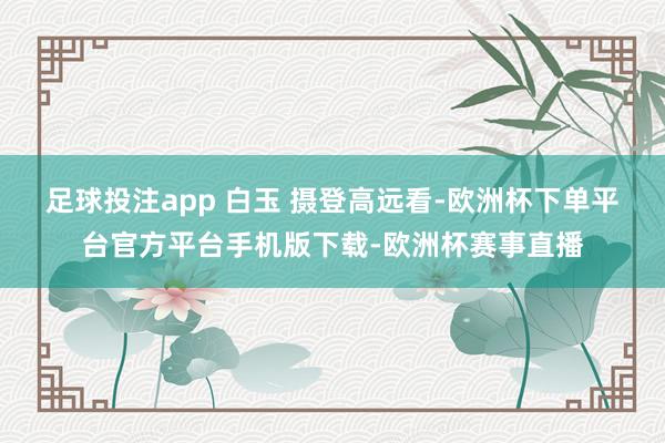 足球投注app 白玉 摄　　登高远看-欧洲杯下单平台官方平台