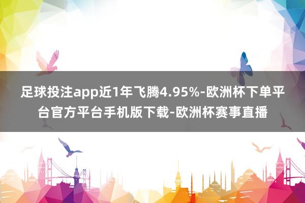 足球投注app近1年飞腾4.95%-欧洲杯下单平台官方平台手