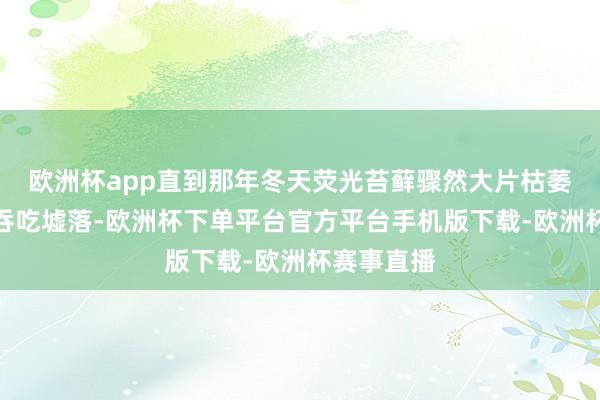 欧洲杯app直到那年冬天荧光苔藓骤然大片枯萎黢黑启动吞吃墟落