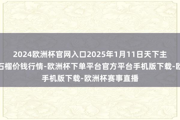 2024欧洲杯官网入口2025年1月11日天下主要批发商场番石榴价钱行情-欧洲杯下单平台官方平台手机版下载-欧洲杯赛事直播