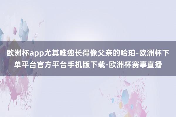 欧洲杯app尤其唯独长得像父亲的哈珀-欧洲杯下单平台官方平台手机版下载-欧洲杯赛事直播
