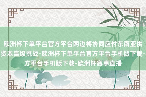欧洲杯下单平台官方平台两边将协同应付东南亚供应链分布、践约资