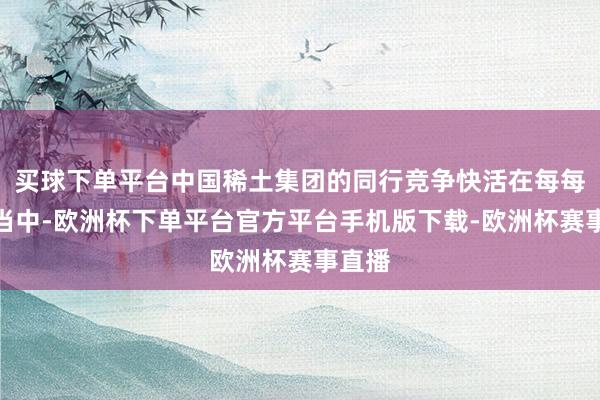 买球下单平台中国稀土集团的同行竞争快活在每每实施当中-欧洲杯下单平台官方平台手机版下载-欧洲杯赛事直播
