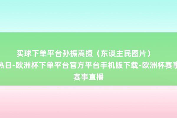 买球下单平台　　孙振嵩摄（东谈主民图片）   　　炎炽热日-