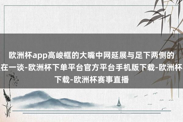欧洲杯app高峻框的大嘴中网延展与足下两侧的大灯会通在一谈-