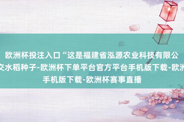 欧洲杯投注入口“这是福建省泓源农业科技有限公司带来的杂交水稻