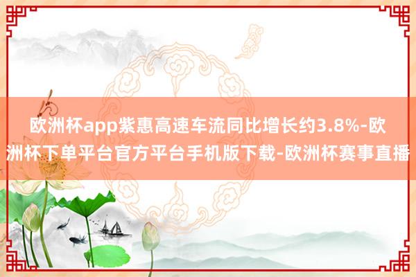 欧洲杯app紫惠高速车流同比增长约3.8%-欧洲杯下单平台官