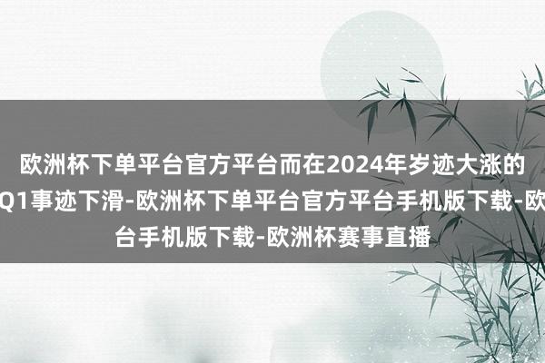 欧洲杯下单平台官方平台而在2024年岁迹大涨的公司则在本年Q