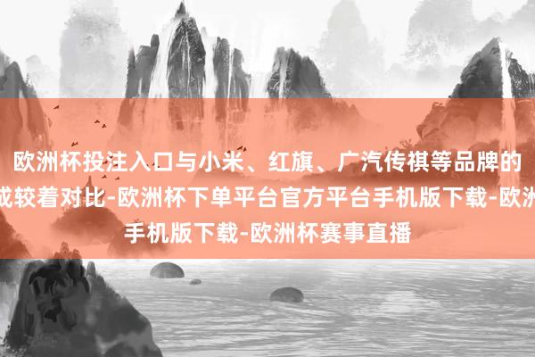 欧洲杯投注入口与小米、红旗、广汽传祺等品牌的强势入驻造成较着