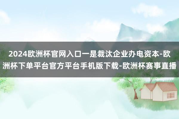 2024欧洲杯官网入口一是裁汰企业办电资本-欧洲杯下单平台官