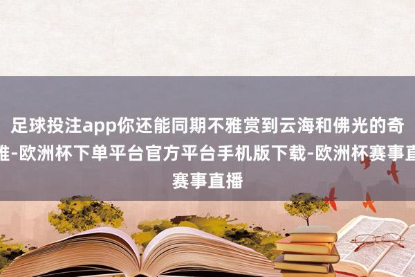 足球投注app你还能同期不雅赏到云海和佛光的奇不雅-欧洲杯下单平台官方平台手机版下载-欧洲杯赛事直播