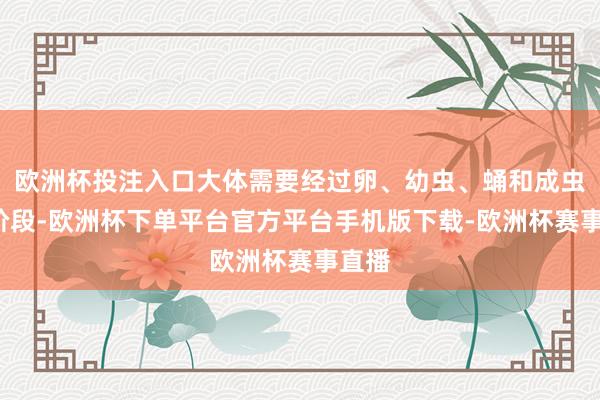 欧洲杯投注入口大体需要经过卵、幼虫、蛹和成虫4个阶段-欧洲杯