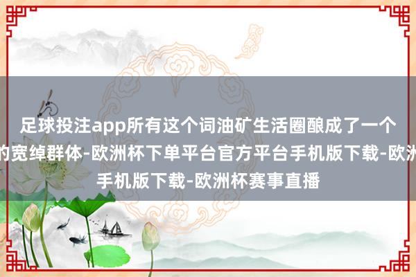 足球投注app所有这个词油矿生活圈酿成了一个十万东谈主的宽绰