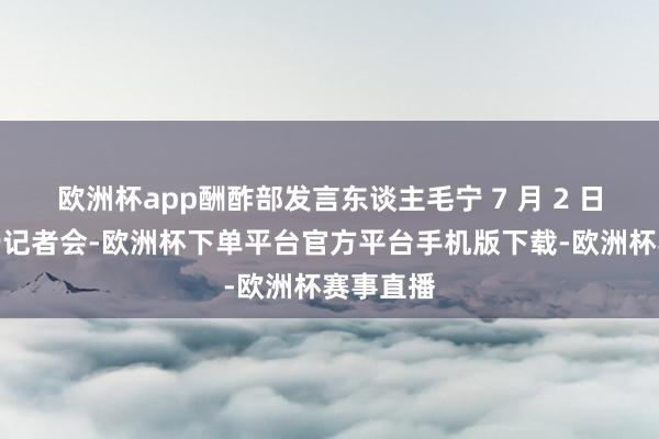 欧洲杯app酬酢部发言东谈主毛宁 7 月 2 日主捏例行记者