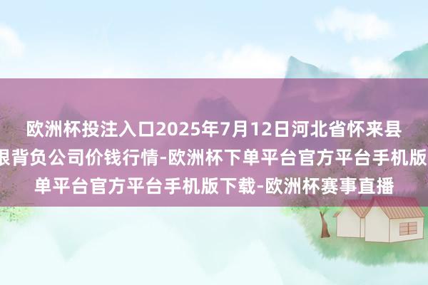 欧洲杯投注入口2025年7月12日河北省怀来县京西果菜批发阛阓有限背负公司价钱行情-欧洲杯下单平台官方平台手机版下载-欧洲杯赛事直播