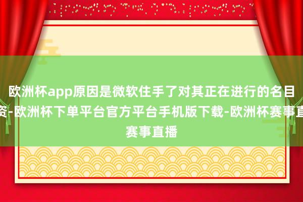 欧洲杯app原因是微软住手了对其正在进行的名目融资-欧洲杯下