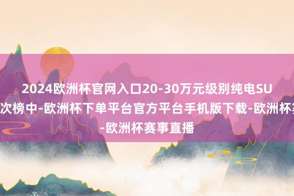 2024欧洲杯官网入口20-30万元级别纯电SUV续航名次榜