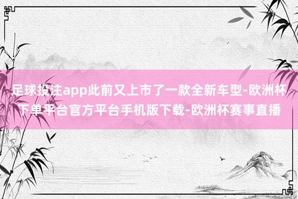 足球投注app此前又上市了一款全新车型-欧洲杯下单平台官方平