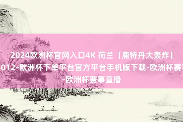 2024欧洲杯官网入口4K 荷兰【鹿特丹大轰炸】干戈 201