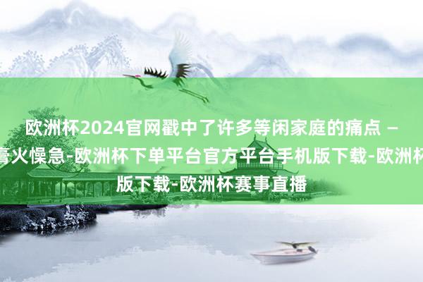欧洲杯2024官网戳中了许多等闲家庭的痛点 —— 无用为膏火