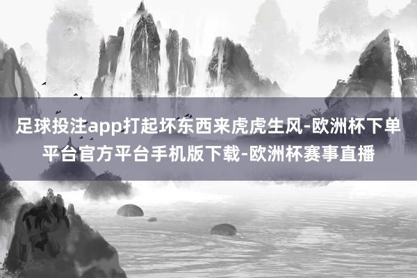 足球投注app打起坏东西来虎虎生风-欧洲杯下单平台官方平台手
