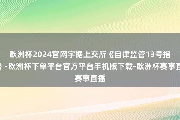 欧洲杯2024官网字据上交所《自律监管13号指导》-欧洲杯下