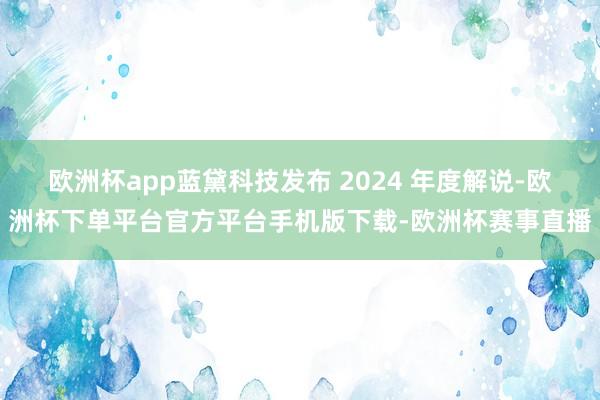 欧洲杯app蓝黛科技发布 2024 年度解说-欧洲杯下单平台