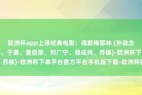 欧洲杯app上译经典电影：魂断梅耶林 (孙说念临、邱岳峰、毕