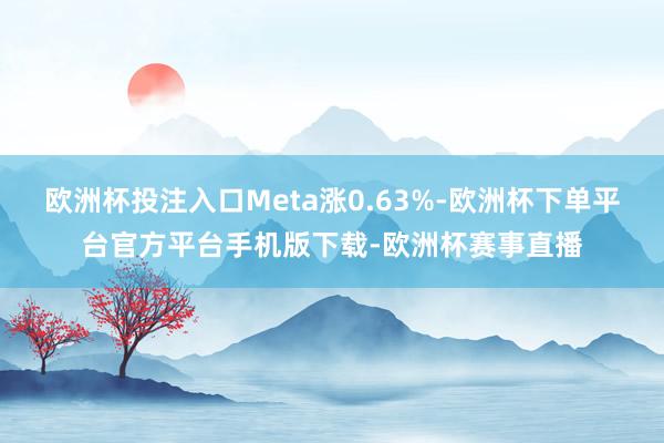 欧洲杯投注入口Meta涨0.63%-欧洲杯下单平台官方平台手