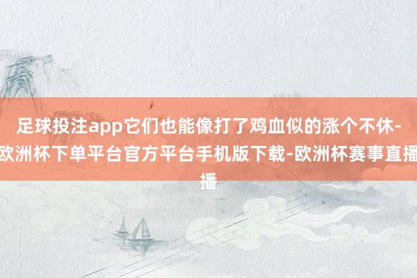 足球投注app它们也能像打了鸡血似的涨个不休-欧洲杯下单平台