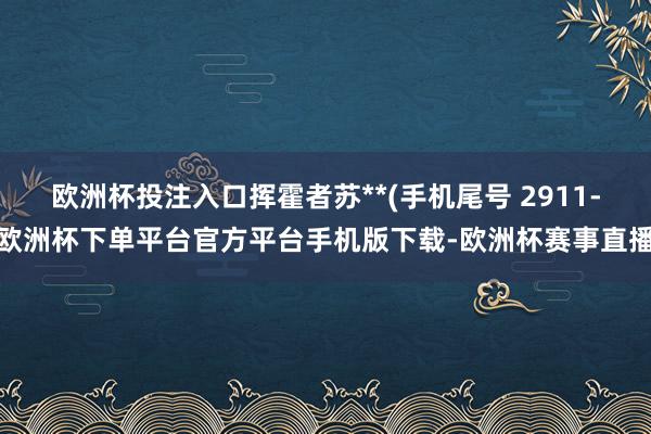 欧洲杯投注入口挥霍者苏**(手机尾号 2911-欧洲杯下单平