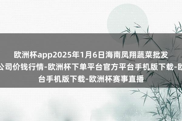 欧洲杯app2025年1月6日海南凤翔蔬菜批发商场料理有限公