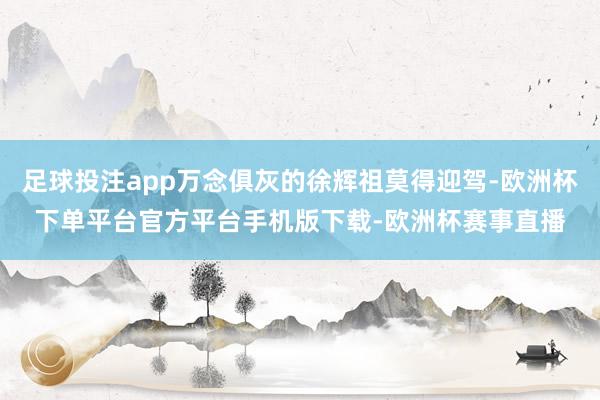 足球投注app万念俱灰的徐辉祖莫得迎驾-欧洲杯下单平台官方平