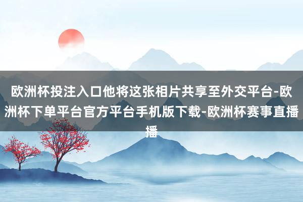 欧洲杯投注入口他将这张相片共享至外交平台-欧洲杯下单平台官方