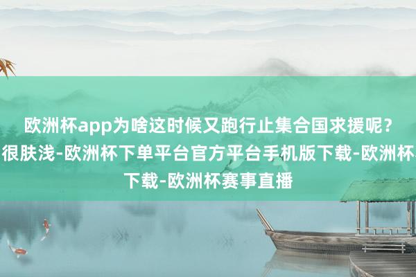 欧洲杯app为啥这时候又跑行止集合国求援呢？为啥呢？很肤浅-